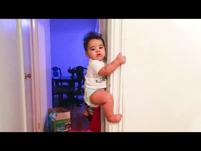 🔴 [LIVE] LAUGH OUT LOUD: Funniest And Cutest Baby FAILS Compilation  || Cool Peachy🍑