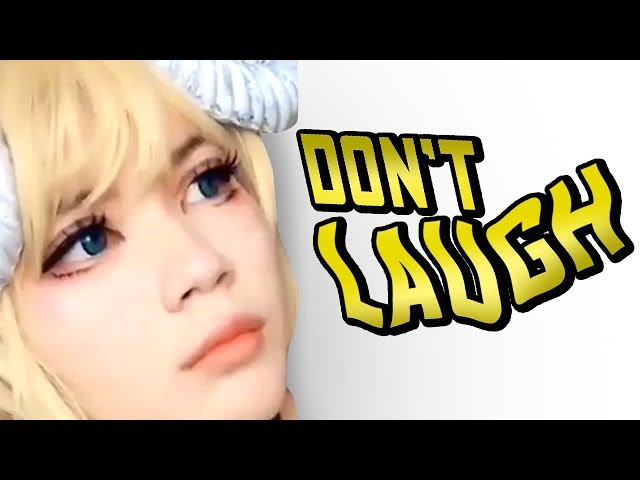 (Meme Edition) You LAUGH You LOSE  YLYL #0042