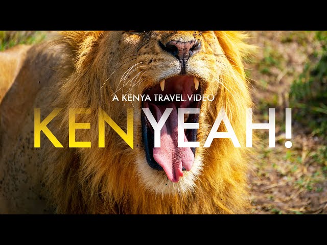 Kenyeah! - A Kenya Safari Cinematic Travel Video [Sony a7C] [4K]