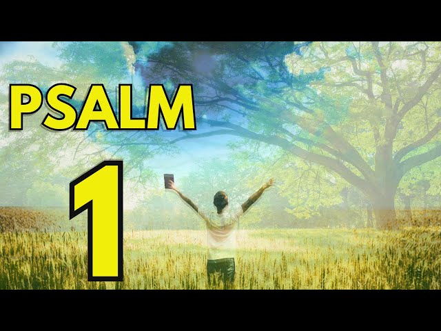 🌟 Psalm 1: Start Your Day with God’s Grace! 🌟(KJV) Morning Prayer & Worship Music for a Fruitful Day