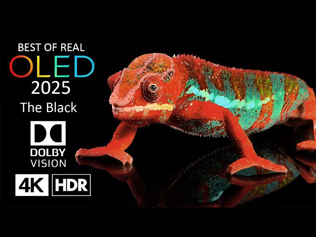 BEST OF REAL OLED - 4K HDR 60 PFS Dolby Vision 4K Video (ULTRA HD)