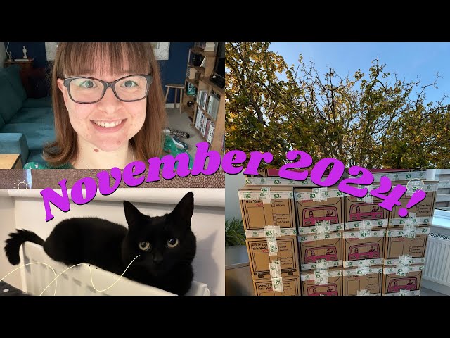 MY READING MONTH: NOVEMBER 2024! - What Victoria Read - Booktube