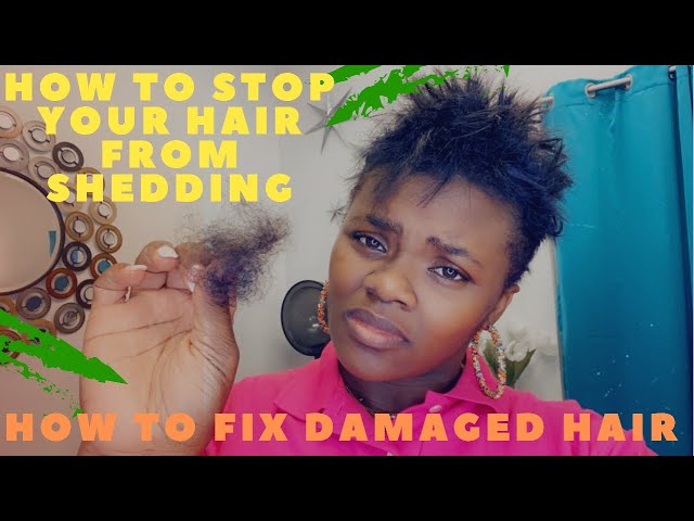 How to stop your hair from shedding| How to fix damaged hair| How to do a protein treatment