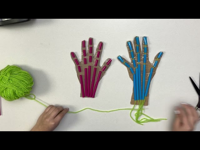 STEAM: Muscular System Hand with Miss Yvette