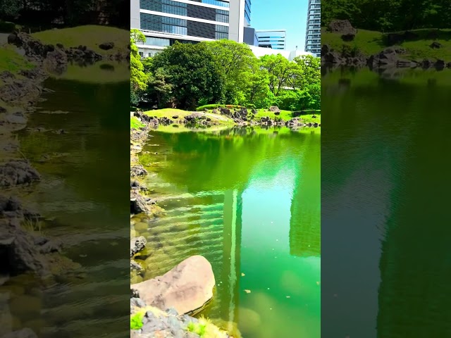 Kyu-Shiba-rikyū Gardens