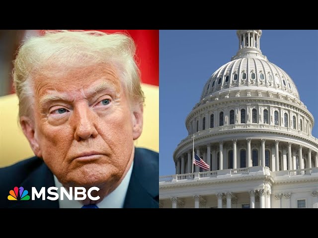 Dems vs. Trump: Party members float government shutdown to negotiate with admin