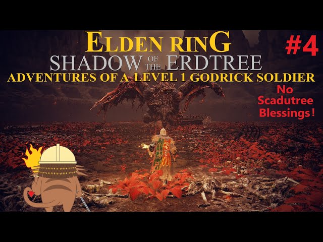 Rune Level 1 No Scadutree Blessing Godrick Soldier Cosplay! (PC)Elden Ring: Shadow of the Erdtree!