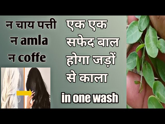 कितने बी सफ़ेद बाल हो काले करो in one wash grey hair challenge 100% results heena indigo one step