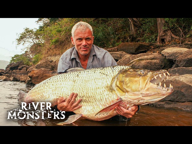 The BIGGEST FISH caught in Season 2 of River Monsters