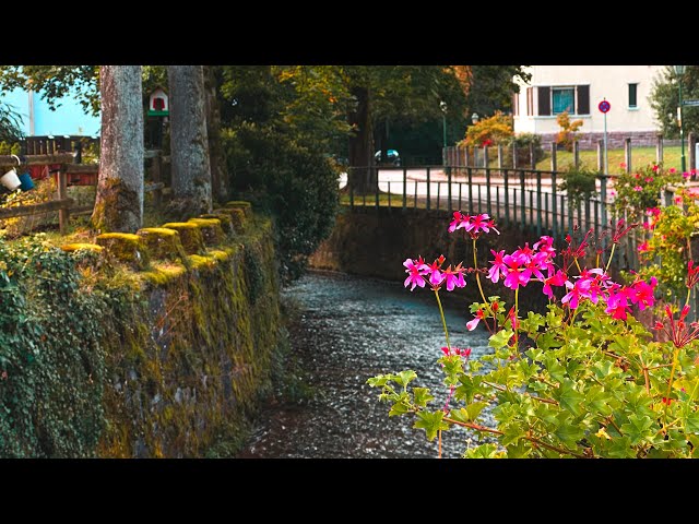 1 Minute of Amazing Nature Scenery ( 4K video with natural sound and lighting )