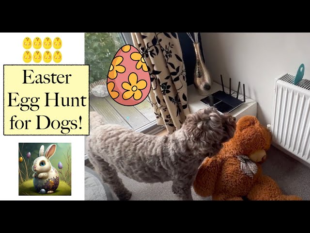 Easter Egg Hunt for Dogs 🐾