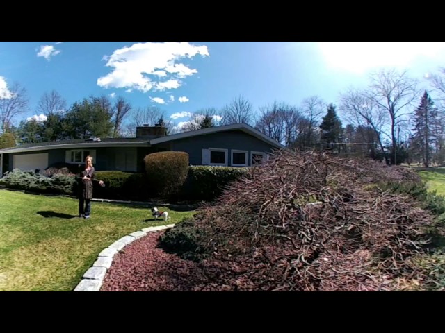 A 360 Video Thank you to Jeff Gellman Solid K Nine Training