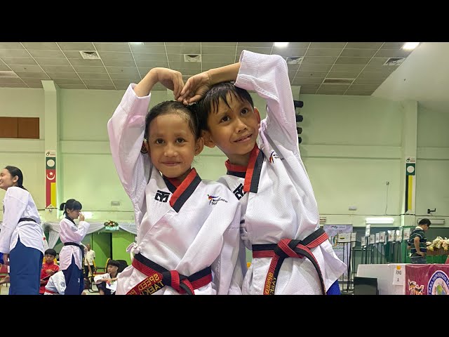 GOLD - INDIVIDUAL + TEAM + KYORUGI - 18th Invitation of Sara Taekwondo Championship