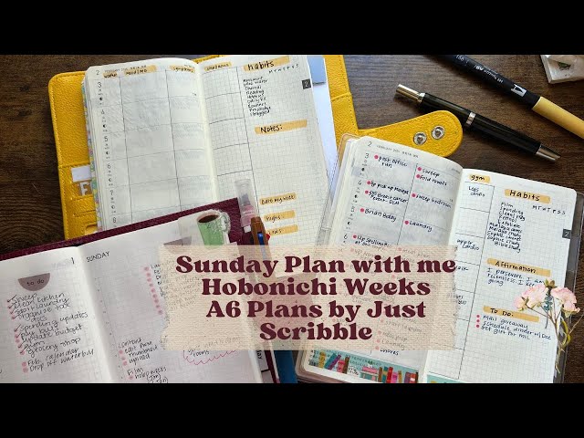 Plan with Me | Week of February 3-9, 2025 | Hobonichi Weeks | A6 Plans by Just Scribble