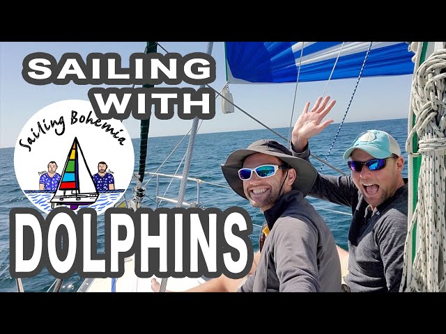 SAILING WITH DOLPHINS & A NEAR MISS WITH A CRUISE SHIP! Ep.2 - Sailing California, Big Sur Coast