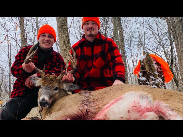 MONSTER MASSACHUSETTS BUCK!!!!!!!! - Double Teamed - 2020