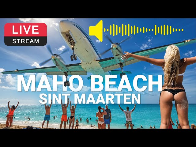 World famous Plane Beach ✈️ -  Maho Beach SXM Live Cam