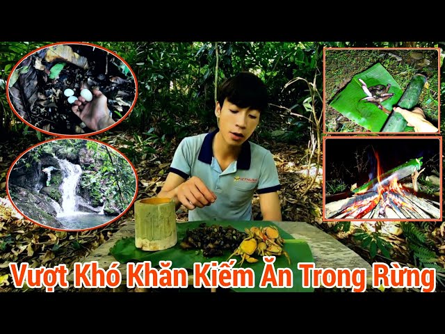 30 Ngày Thử Thách Sinh Tồn Trong Rừng Già | Vượt Khó Khăn Kiếm Ăn Trong Rừng | Rừng Và Tôi