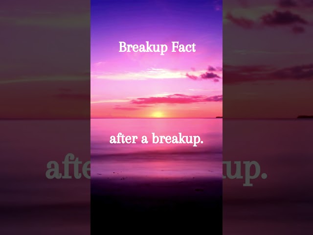 Breakup Fact