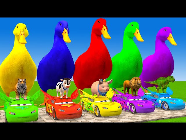 5 Giant Duck Cartoon,Cow,Elephant,Giraffe,Tiger,Lion, Paint Wild Animals Crossing Fountain Animation