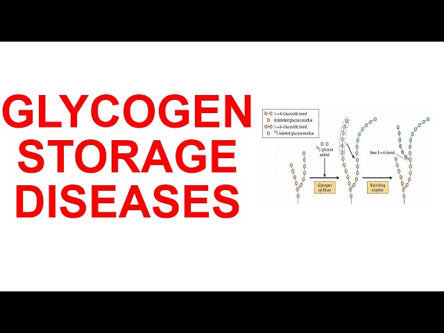 Glycogen Storage Diseases