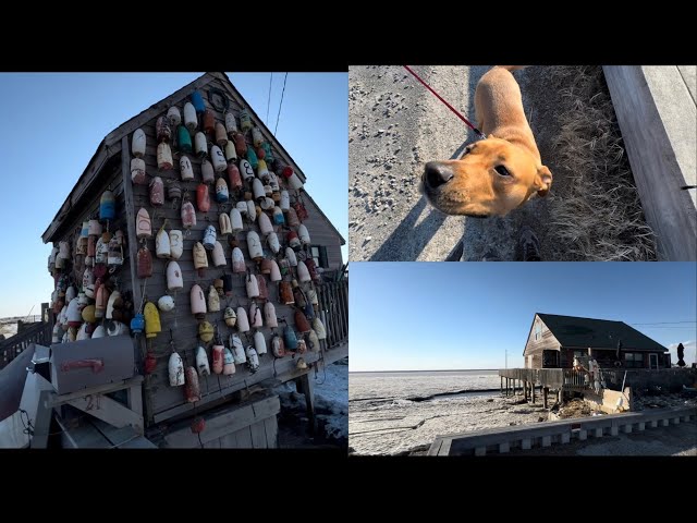 #the sea froze over #the atlantic ocean froze over #houses with ocean views in the USA #touristic