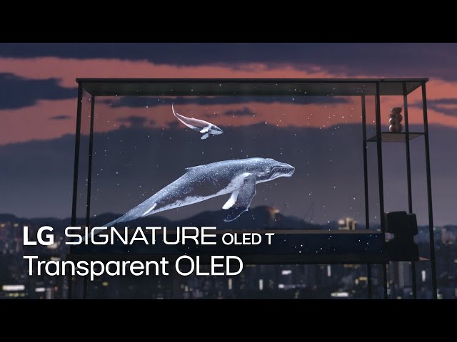 LG SIGNATURE : Transparent OLED | LG