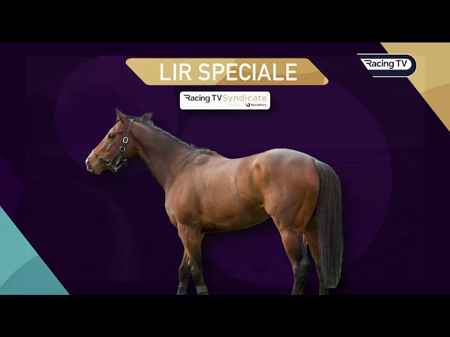 What's next for Racing TV syndicate horse Lir Speciale? (03/08/24)