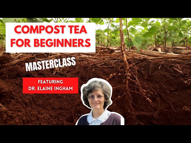 How to Grow Amazing Plants with Compost Tea - Masterclass with Dr. Elaine Ingham (Part 1 of 5)