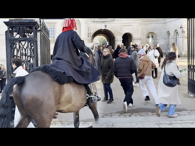 KING'S HORSE QUITS AFTER SIGHTING IDIOTS, you have to see this!