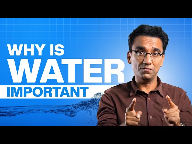 Are You Making This Common Water Mistake? Complete Guide For Hydration, Fasting & Good Gut Health