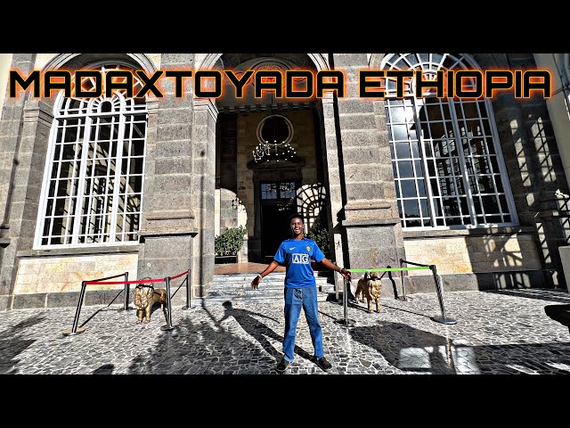 🇪🇹MADAXTOYADA ETHIOPIA AYAA DHEX GALAY