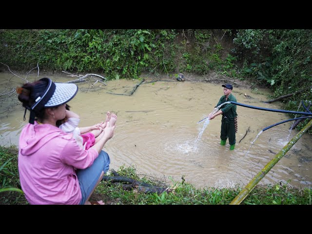 Renovating Ponds, Growing Bananas and Vegetables, Family Farm | EP. 10