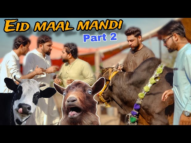 Eid maal mandi Part 2 || Pashto funny videos || Zindabad vines 2024