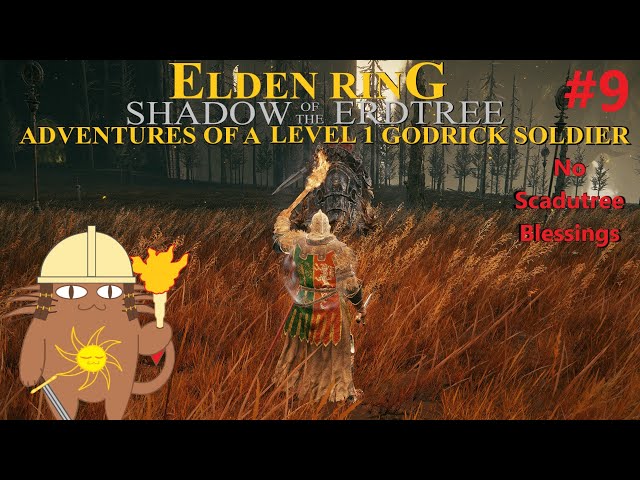 Rune Level 1 No Scadutree Blessing Godrick Soldier Cosplay! (PC)Elden Ring: Shadow of the Erdtree!