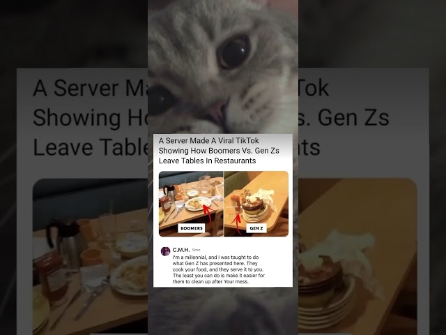 A Server Made A Viral TikTok. (Kitty)