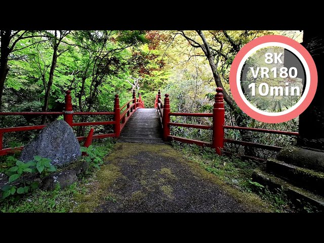 10 Min Meditation Red bridge in nature VR180 8K Binaural ASMR