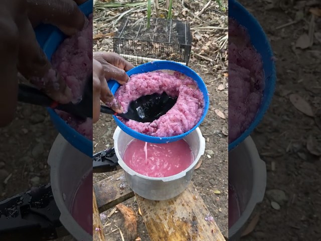 Outdoor Cooking Jamaica | Making Apple Orange Juice #shorts #outdoorcooking #food