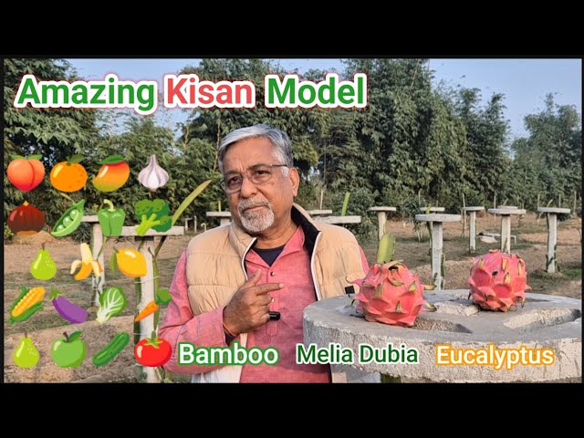 436. अमेजिंग किसान मॉडल. Amazing Kisan Model for Farming.