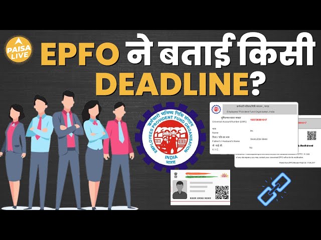 EPFO की नई Update, Salaried कर्मचारियों के लिए राहत की खबर | Paisa Live