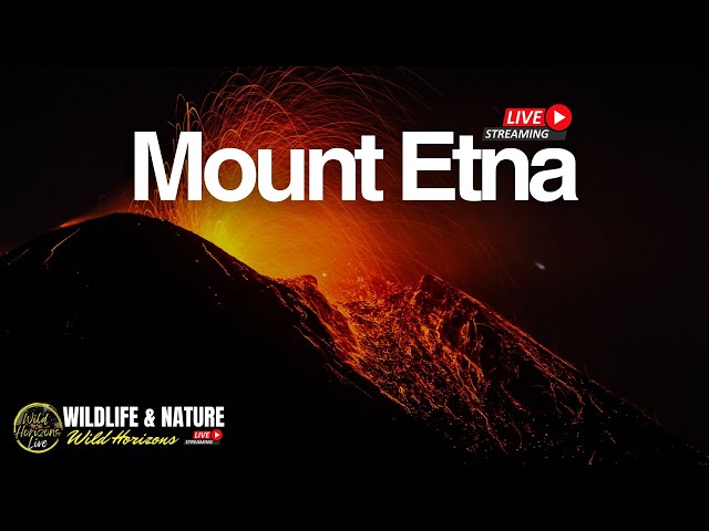 Mt Etna Live - Erupting Now