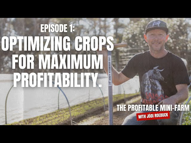 Cultivating Profits: Jodi Roebuck's Mini Farming Strategies for Financial Success | (TPMF E1)