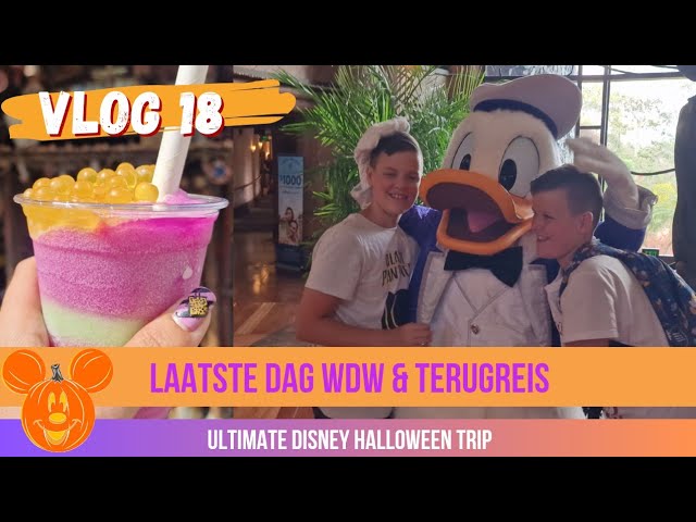 Vlog 18 | Laatste dag van ons Disney Halloween Avontuur | Disney Halloween vakantie