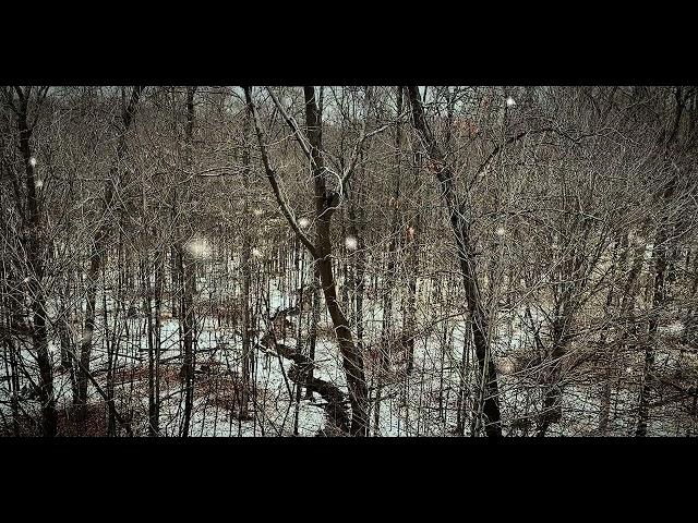 Relaxing/Calming Forest Snowfall with river stream (no music). Peaceful sound to sleep/meditate.