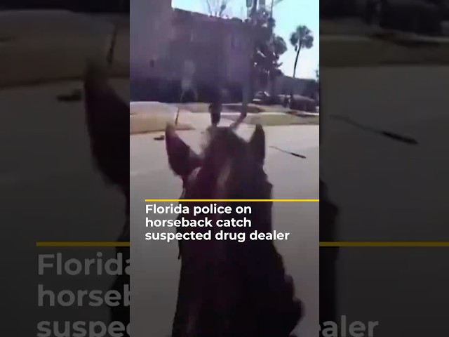 Florida police catch suspected drug dealer on horseback