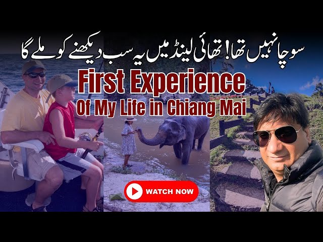 First Experience of My Life in CHIANG MAI | Elephant Jungle Sanctuary | THAILAND Travel Vlog