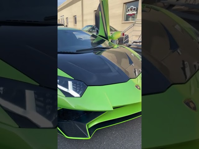 Lamborghini Aventador - Ryft Exhaust - SOUND UP!! #shorts