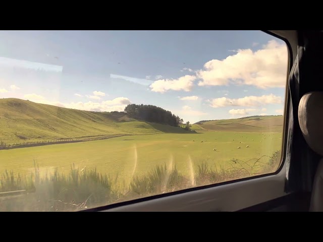 Edinburgh to Aberdeen Train, grasslands and sheep