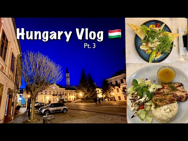 Went to another city (Veszprem) just for dinner | Vlog 26 | #hungary #travelvlog #vlog