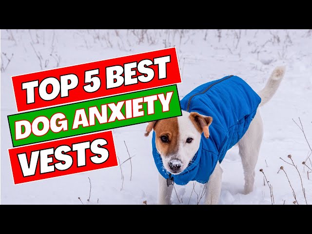 Top 5 Best Dog Anxiety Vests in 2025